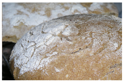 Pan grande con masa madre natural